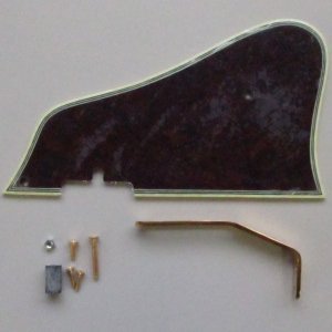 Ibanez 4PG1AF207 Pickguard AF207