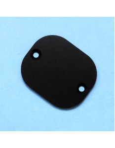 Ibanez 4PT00A0012 Cavity Plate for RDG Prestige - black Aluminum