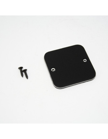 Ibanez 4PT12A0019 Switch Cavity Plate DT520
