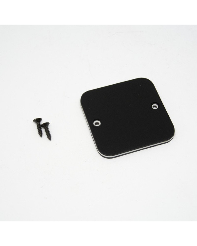 Ibanez 4PT12A0019 Switch Cavity Plate DT520