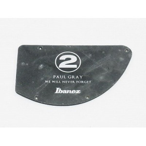 Ibanez 4PT27C0015 Control Plate - black for PGB2T