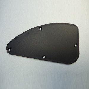 Ibanez 4PTX5A0008 Cavity Plate - black