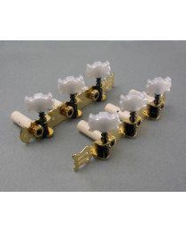 Ibanez 5AMH03C Machine Heads - for 6 string nylon guitar GA5TCE