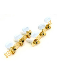 Ibanez 1B-5AMH07B Machinehead: Classic guitar, Pearl Plastic knob, gold, L1R1 - Discontinued & Stock only
