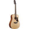 Ibanez AAD1012E-OPN Advanced Acoustic AAD Acoustic Guitar 12-String - Open Pore Natural