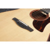 Ibanez AAD170CE-LGS Advanced Acoustic AAD Acoustic Guitar 6-String - Natural Low Gloss