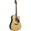 Ibanez AAD381CE-NT Advanced Acoustic AAD Acoustic Guitar 6-String - Natural High Gloss