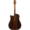 Ibanez AAD381CE-NT Advanced Acoustic AAD Acoustic Guitar 6-String - Natural High Gloss