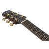 Ibanez AAD381CE-NT Advanced Acoustic AAD Acoustic Guitar 6-String - Natural High Gloss