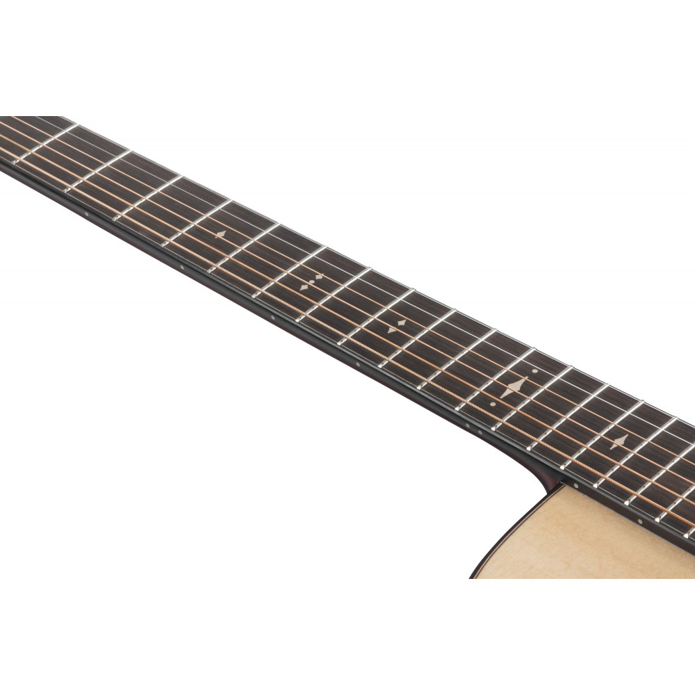 Ibanez AAD400CE-LGS Platinum Collection Acoustic Guitar 6 String - Natural Low Gloss + Case
