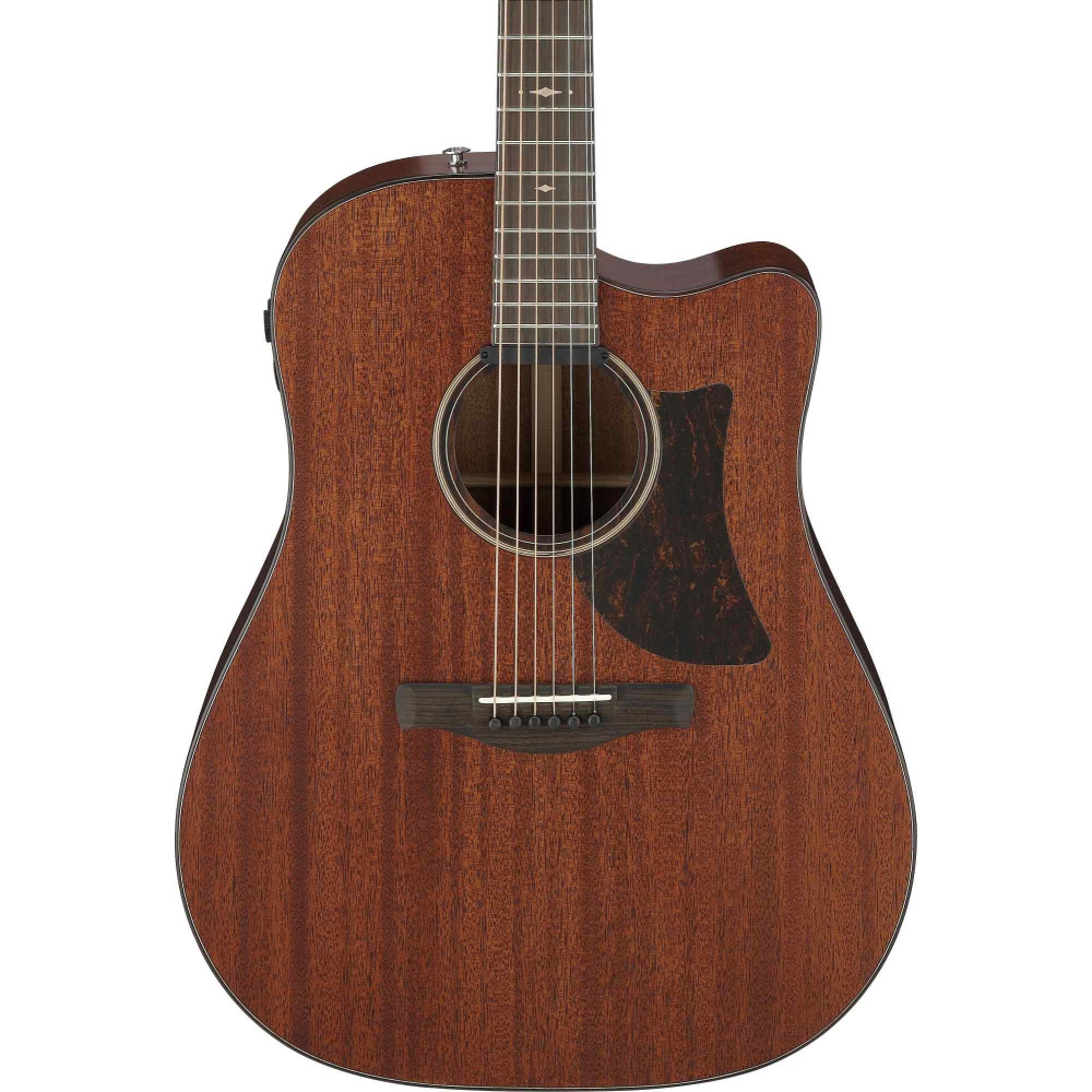 Ibanez AAD440CE-LGS Advanced Acoustic Platinum Collection AAD Acoustic Guitar 6-String - Natural Low Gloss + Case