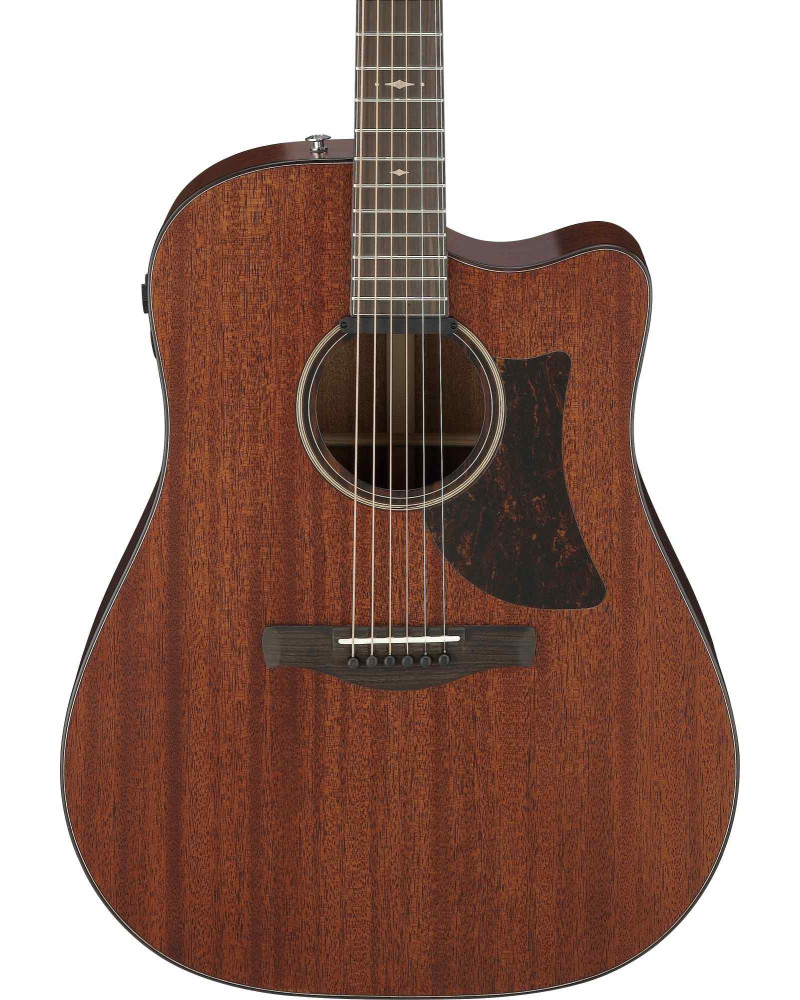 Ibanez AAD440CE-LGS Advanced Acoustic Platinum Collection AAD Acoustic Guitar 6-String - Natural Low Gloss + Case