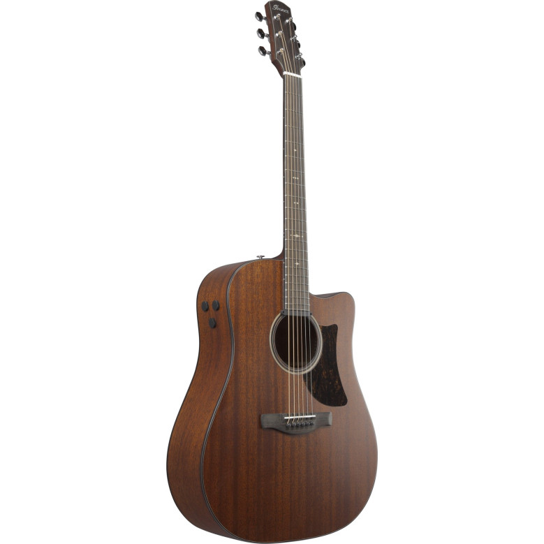 Ibanez AAD440CE-LGS Advanced Acoustic Platinum Collection AAD Acoustic Guitar 6-String - Natural Low Gloss + Case