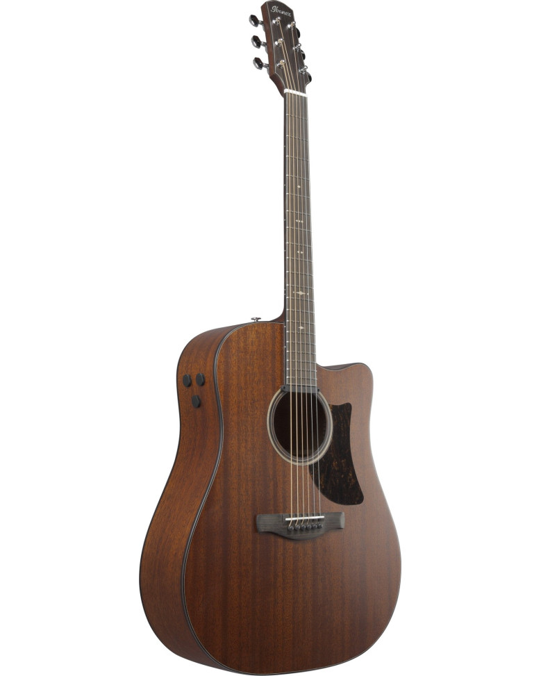Ibanez AAD440CE-LGS Advanced Acoustic Platinum Collection AAD Acoustic Guitar 6-String - Natural Low Gloss + Case