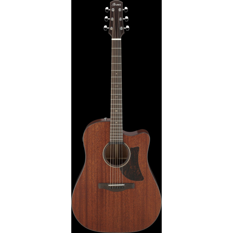 Ibanez AAD440CE-LGS Advanced Acoustic Platinum Collection AAD Acoustic Guitar 6-String - Natural Low Gloss + Case