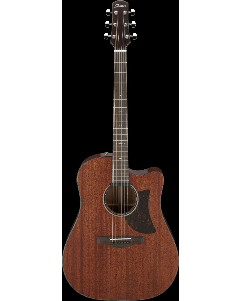 Ibanez AAD440CE-LGS Advanced Acoustic Platinum Collection AAD Acoustic Guitar 6-String - Natural Low Gloss + Case
