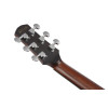 Ibanez AAD440CE-LGS Advanced Acoustic Platinum Collection AAD Acoustic Guitar 6-String - Natural Low Gloss + Case