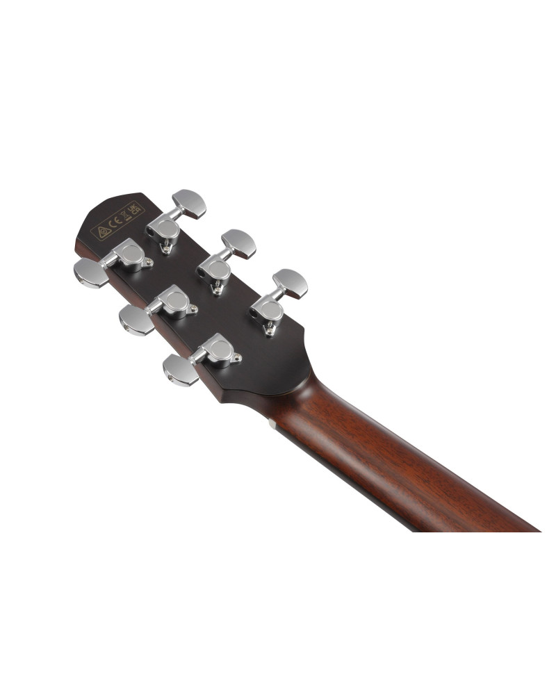 Ibanez AAD440CE-LGS Advanced Acoustic Platinum Collection AAD Acoustic Guitar 6-String - Natural Low Gloss + Case