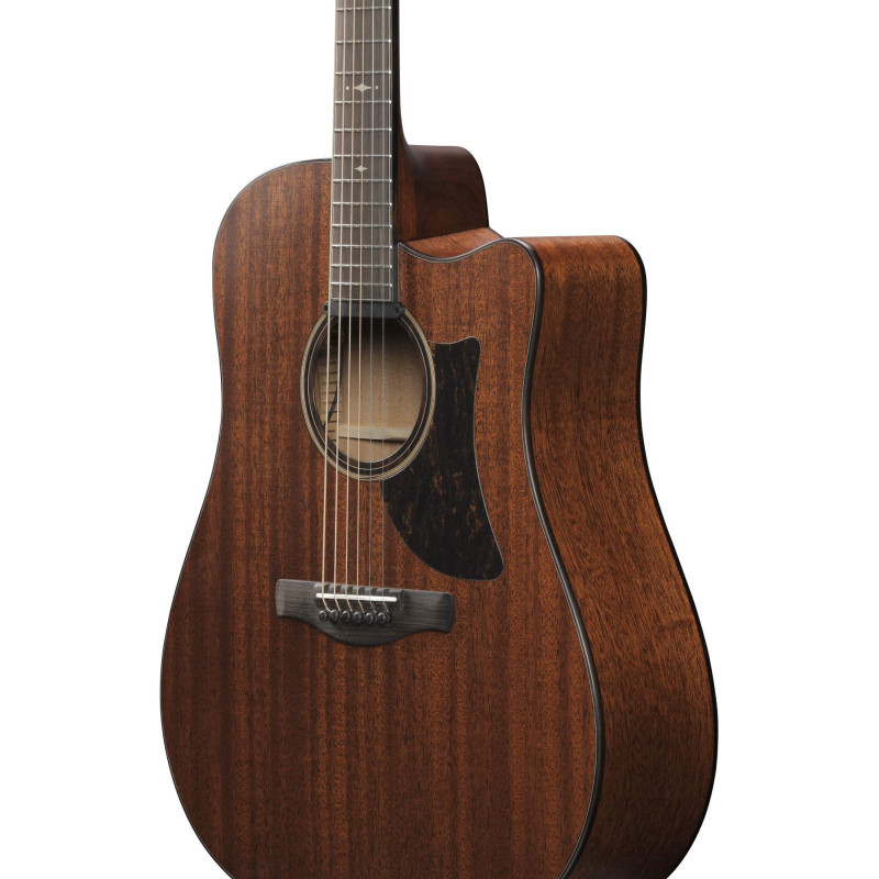 Ibanez AAD440CE-LGS Advanced Acoustic Platinum Collection AAD Acoustic Guitar 6-String - Natural Low Gloss + Case