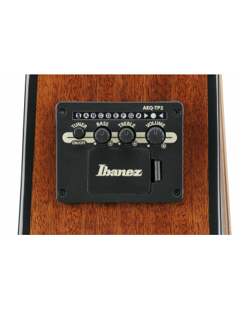 Ibanez AAM100E-NT Advanced Acoustic AAM Acoustic Guitar 6-String - Natural High Gloss