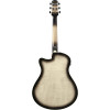 Ibanez AAM370M1CETPA Advanced Acoustic AAM Acoustic Guitar 6-String - Transparent Panda High Gloss