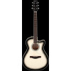 Ibanez AAM370M1CETPA Advanced Acoustic AAM Acoustic Guitar 6-String - Transparent Panda High Gloss