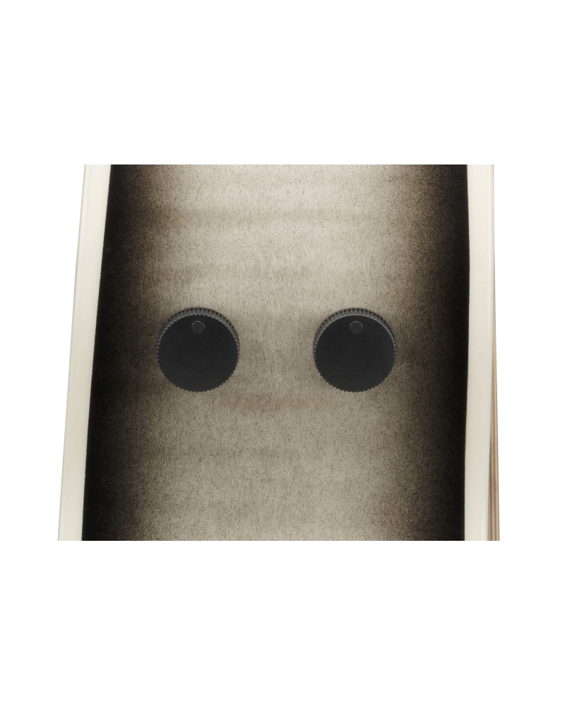 Ibanez AAM370M1CETPA Advanced Acoustic AAM Acoustic Guitar 6-String - Transparent Panda High Gloss