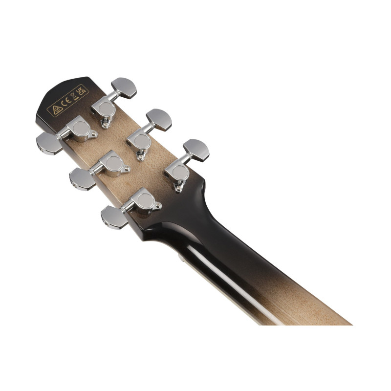 Ibanez AAM370M1CETPA Advanced Acoustic AAM Acoustic Guitar 6-String - Transparent Panda High Gloss