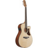 Ibanez AAM50CE-OPN Advanced Acoustic AAM Acoustic Guitar 6-String - Open Pore Natural