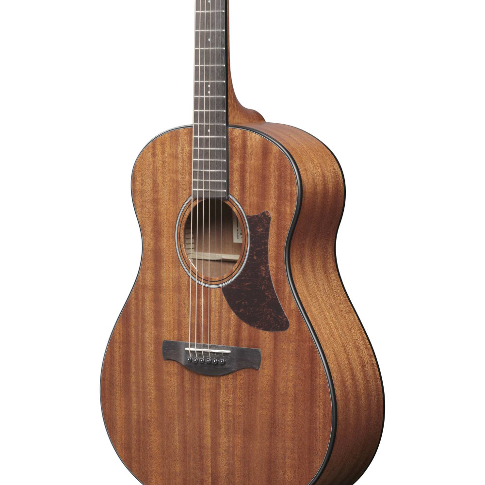 Ibanez AAM54-OPN Advanced Acoustic AAM Acoustic Guitar 6-String - Open Pore Natural