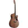 Ibanez AAM54CE-OPN Advanced Acoustic AAM Acoustic Guitar 6-String - Open Pore Natural