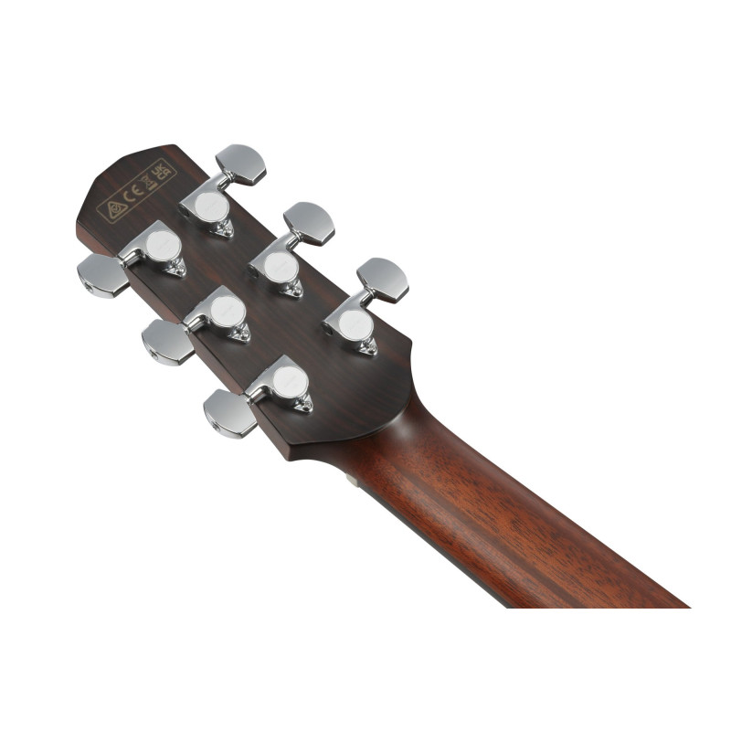 Ibanez AAM700CE-NT Advanced Acoustic, Platinum Collection 6-Str Natural High Gloss Auditorium Body