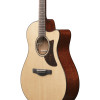 Ibanez AAM700CE-NT Advanced Acoustic, Platinum Collection 6-Str Natural High Gloss Auditorium Body