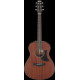 Ibanez AAM740E-LG Advanced Acoustic, Platinum Collection 6-Str Natural Low Gloss Auditorium Body