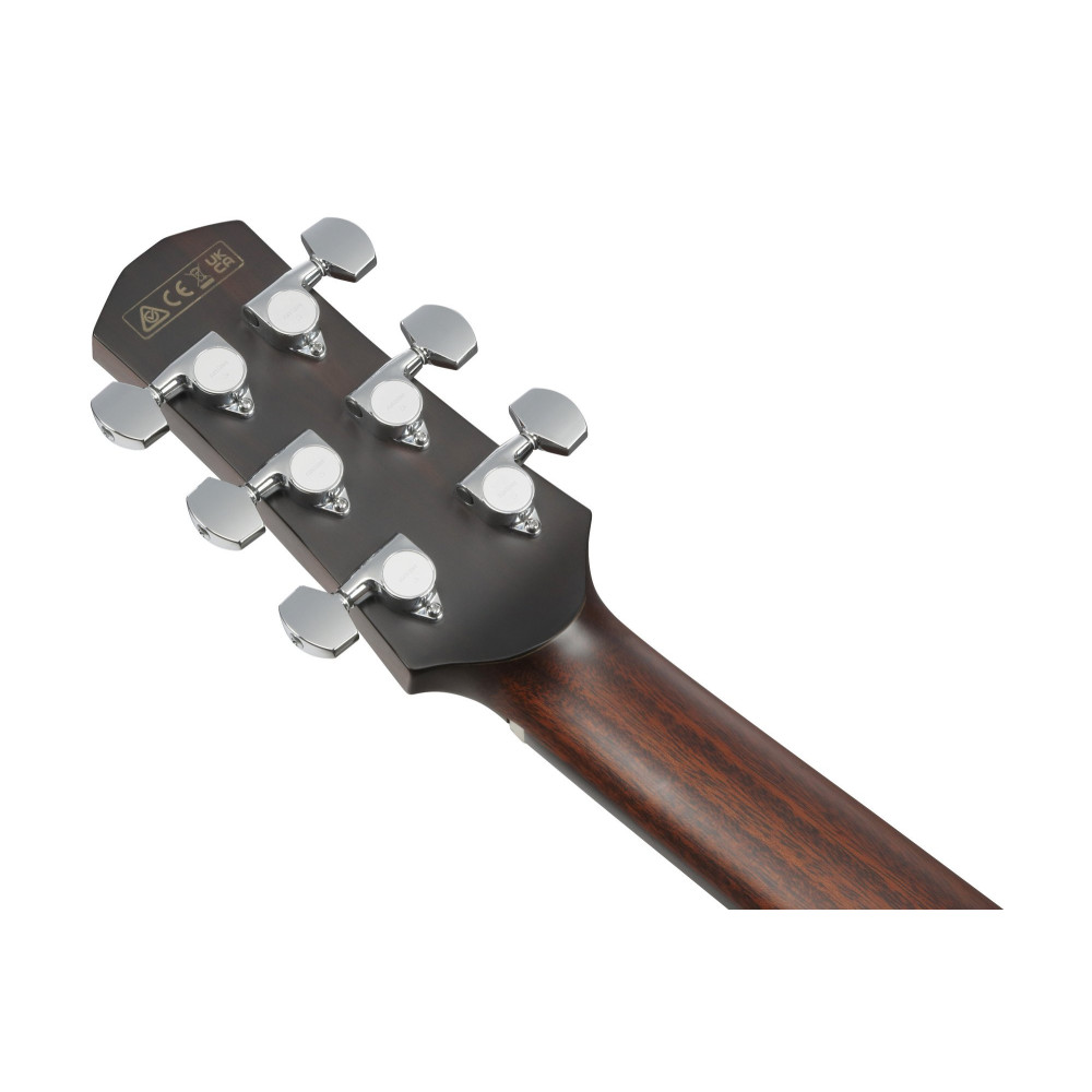 Ibanez AAM740E-LG Advanced Acoustic, Platinum Collection 6-Str Natural Low Gloss Auditorium Body