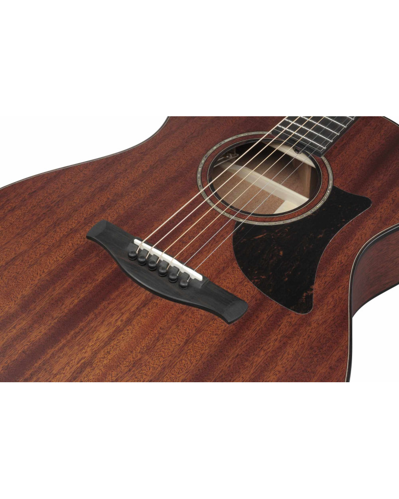 Ibanez AAM740E-LG Advanced Acoustic, Platinum Collection 6-Str Natural Low Gloss Auditorium Body