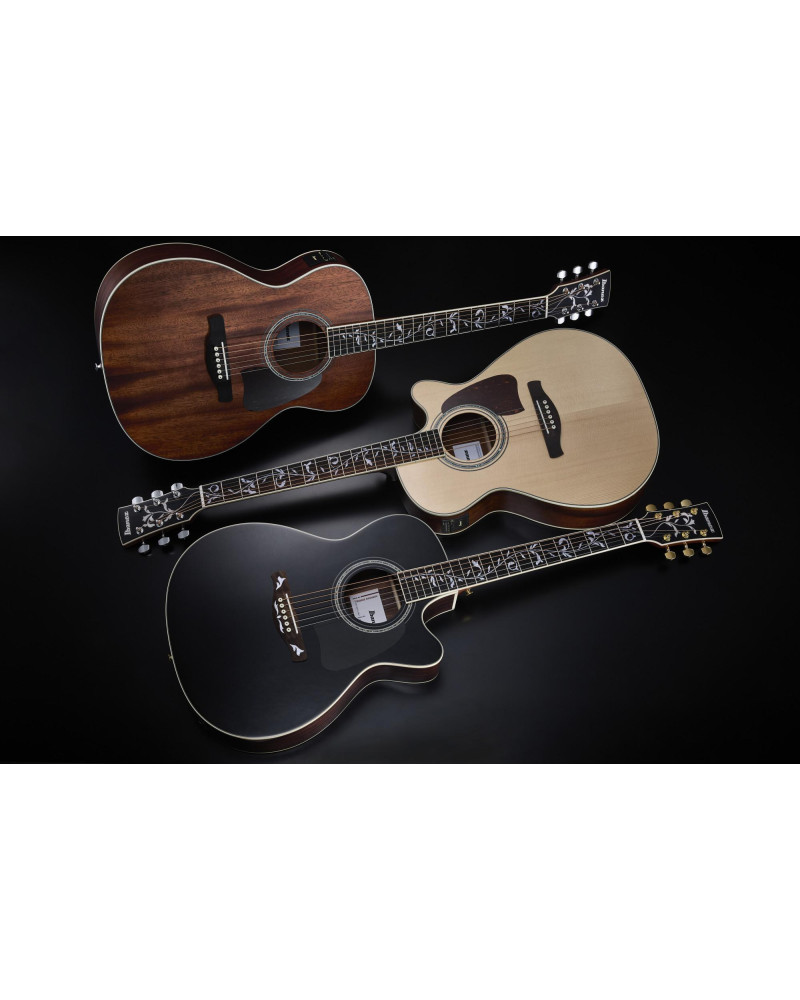 Ibanez AC391RCE-BKH Artwood AC Acoustic Guitar 6-String - Black High Gloss Top, Natural High Gloss Back & Sides