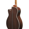 Ibanez AC391RCE-BKH Artwood AC Acoustic Guitar 6-String - Black High Gloss Top, Natural High Gloss Back & Sides