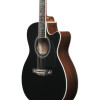 Ibanez AC391RCE-BKH Artwood AC Acoustic Guitar 6-String - Black High Gloss Top, Natural High Gloss Back & Sides