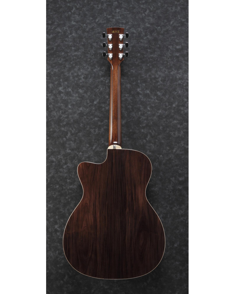 Ibanez ACFS580CE-OPS Artwood AC Acoustic Guitar 6-String Fingerstyle Collection - Open Pore Semi Gloss + Case
