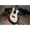 Ibanez ACFS580CE-OPS Artwood AC Acoustic Guitar 6-String Fingerstyle Collection - Open Pore Semi Gloss + Case