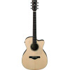 Ibanez ACFS580CE-OPS Artwood AC Acoustic Guitar 6-String Fingerstyle Collection - Open Pore Semi Gloss + Case