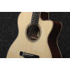 Ibanez ACFS580CE-OPS Artwood AC Acoustic Guitar 6-String Fingerstyle Collection - Open Pore Semi Gloss + Case