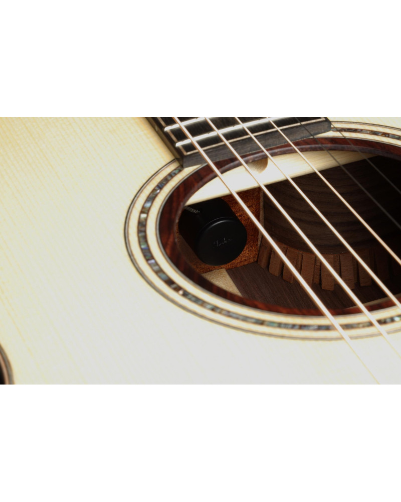 Ibanez ACFS580CE-OPS Artwood AC Acoustic Guitar 6-String Fingerstyle Collection - Open Pore Semi Gloss + Case