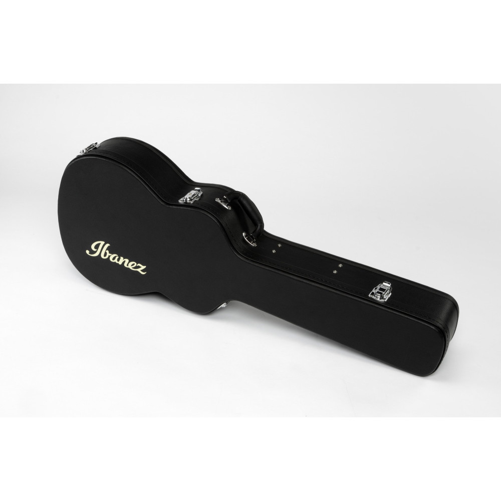 Ibanez ACFS580CE-OPS Artwood AC Acoustic Guitar 6-String Fingerstyle Collection - Open Pore Semi Gloss + Case