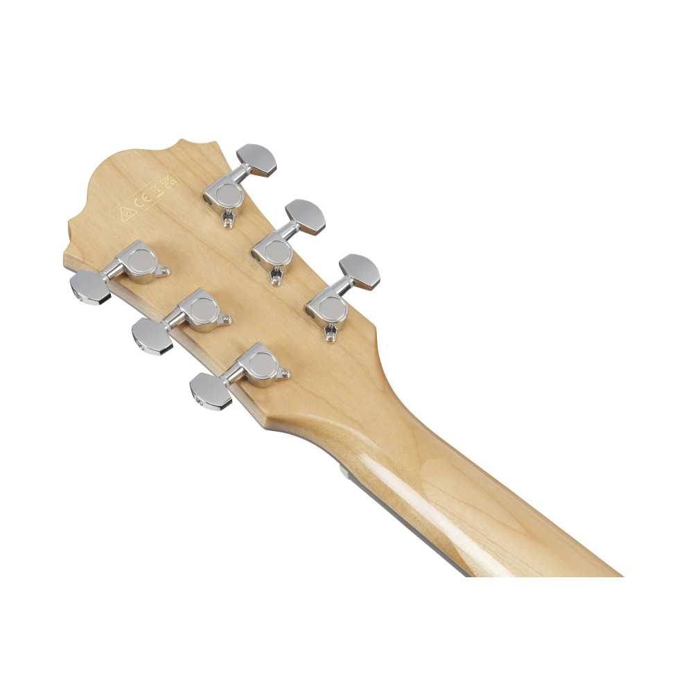 Ibanez AE170-NTR AE Acoustic Guitar 6-String - Natural High Gloss Top, Transparent Red High Gloss Back & Sides