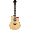 Ibanez AE170-NTR AE Acoustic Guitar 6-String - Natural High Gloss Top, Transparent Red High Gloss Back & Sides