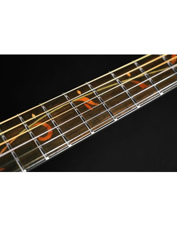 Ibanez AE295-LGS AE Series Acoustic guitar 6 String - Natural Low Gloss