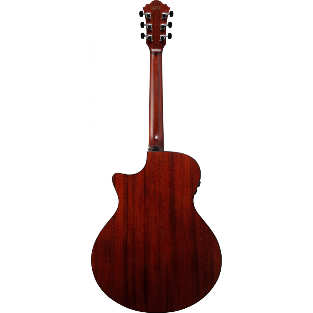 Ibanez AE410-LGS Platinum Collection Acoustic Guitar 6 String - Natural Low Gloss + Case