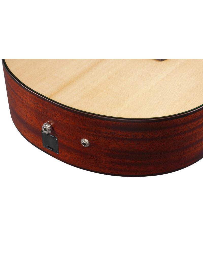 Ibanez AE410-LGS Platinum Collection Acoustic Guitar 6 String - Natural Low Gloss + Case